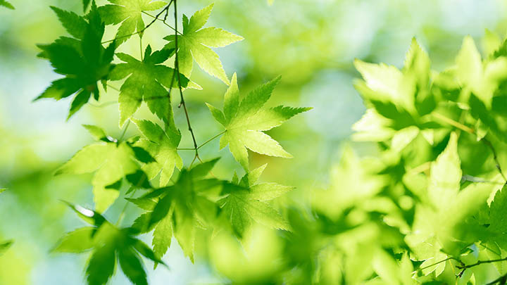 香港购物银联优惠 - 084811Zo9X2